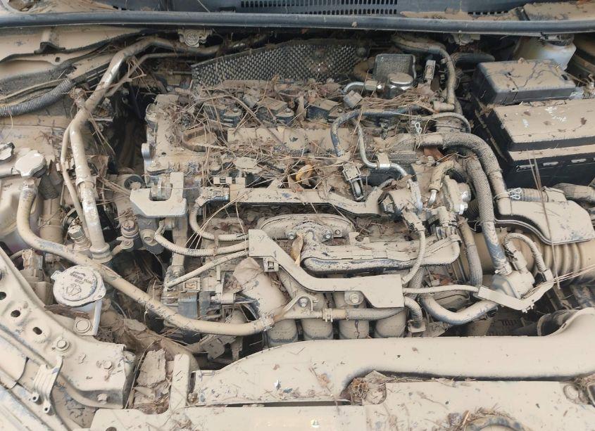 Photo 10 of 2024 Toyota Corolla NIGHTSHADE EDITION (VIN 5YFB4MCE9RP200440)