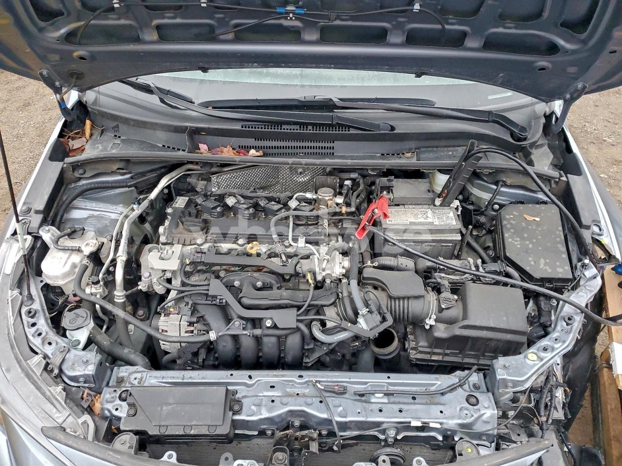 Photo 11 of 2024 TOYOTA COROLLA LE (VIN 5YFB4MDE0RP141728)