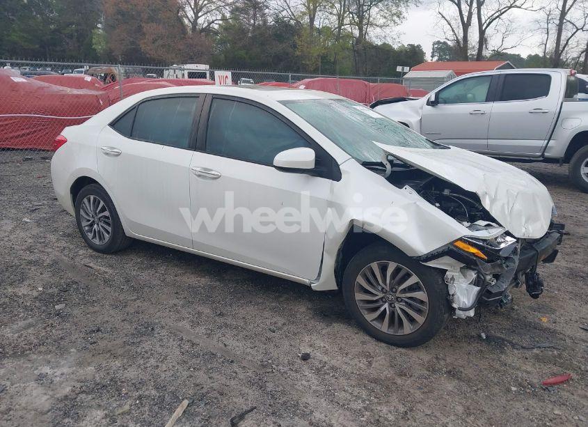 2019 Toyota Corolla XLE (VIN 5YFBURHE5KP871504) main photo