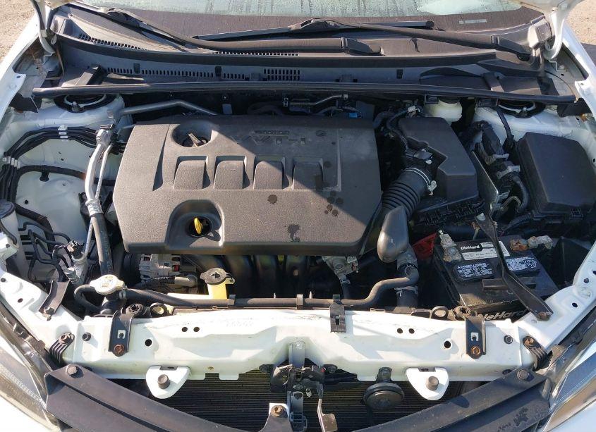 Photo 10 of 2019 Toyota Corolla LE (VIN 5YFBURHE5KP891915)