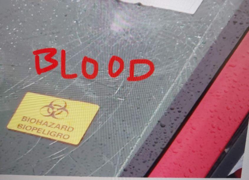 Photo 11 of 2016 Toyota Corolla LE (VIN 5YFBURHE6GP488968)