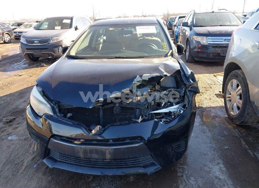 Photo 12 of 2016 Toyota Corolla LE (VIN 5YFBURHE7GP560681)