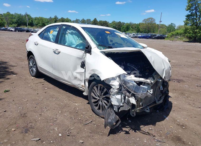 2019 Toyota Corolla XLE (VIN 5YFBURHE7KP904888) main photo