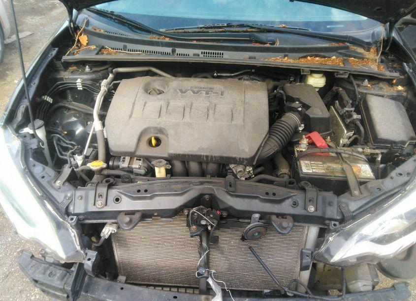 Photo 10 of 2016 Toyota Corolla LE (VIN 5YFBURHE9GP395118)