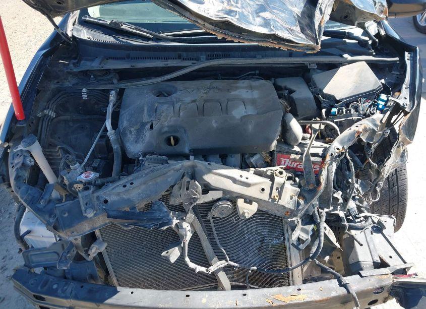 Photo 10 of 2019 Toyota Corolla LE (VIN 5YFBURHE9KP941117)