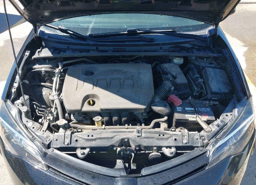 Photo 10 of 2018 Toyota Corolla LE (VIN 5YFBURHEXJP827769)