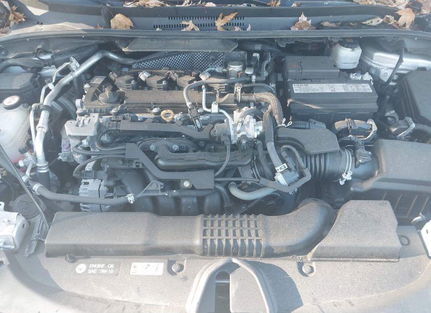 Photo 10 of 2020 Toyota Corolla SE (VIN 5YFS4RCE4LP026488)