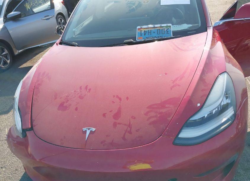 Photo 10 of 2017 Tesla Model 3 LONG RANGE/STANDARD (VIN 5YJ3E1EA0HF000728)