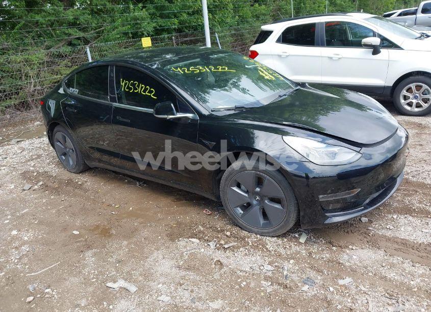 2019 Tesla Model 3 LONG RANGE/MID RANGE/STANDARD RANGE/STANDARD RANGE PLUS (VIN 5YJ3E1EA0KF361870) main photo