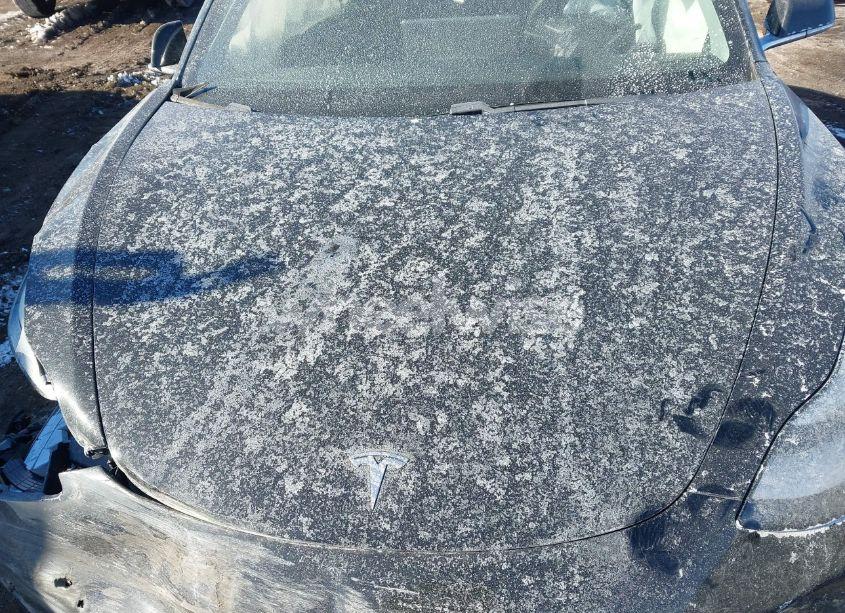 Photo 10 of 2020 Tesla Model 3 STANDARD RANGE PLUS REAR-WHEEL DRIVE/STANDARD RANGE REAR-WHEEL DRIVE (VIN 5YJ3E1EA0LF739011)