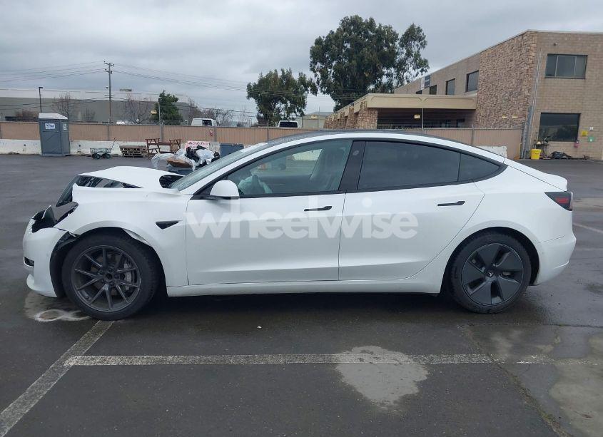 Photo 15 of 2021 Tesla Model 3 STANDARD RANGE PLUS REAR-WHEEL DRIVE (VIN 5YJ3E1EA0MF006555)