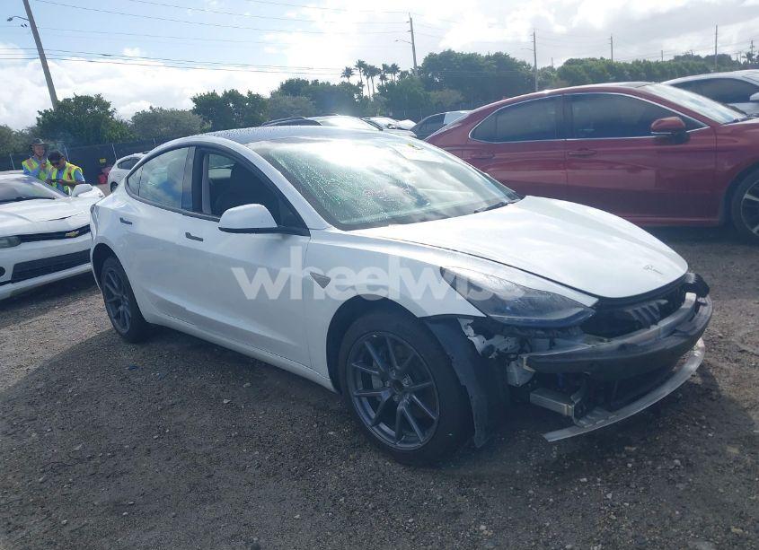 2023 Tesla Model 3 REAR-WHEEL DRIVE (VIN 5YJ3E1EA0PF504405) main photo