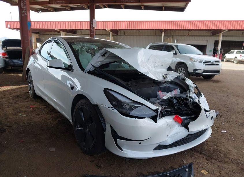 2021 Tesla Model 3 STANDARD RANGE PLUS REAR-WHEEL DRIVE (VIN 5YJ3E1EA1MF019041) main photo
