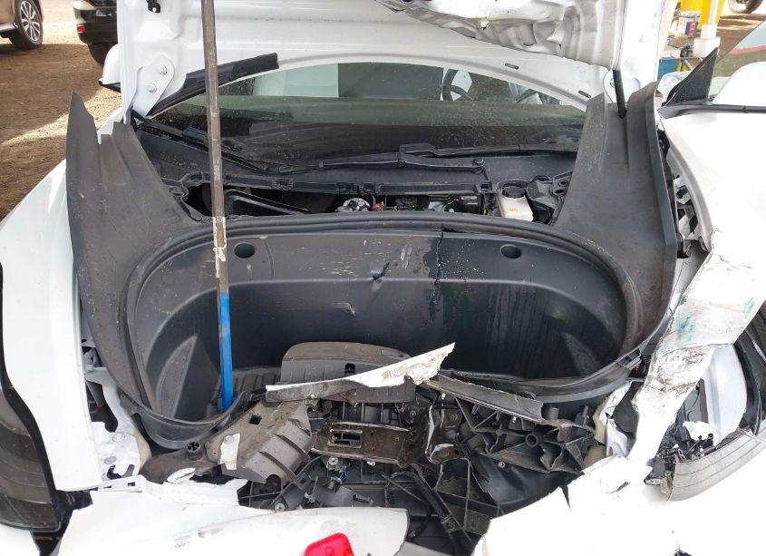 Photo 10 of 2021 Tesla Model 3 STANDARD RANGE PLUS REAR-WHEEL DRIVE (VIN 5YJ3E1EA1MF019041)