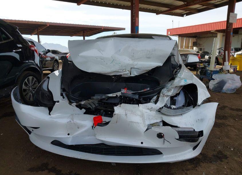 Photo 11 of 2021 Tesla Model 3 STANDARD RANGE PLUS REAR-WHEEL DRIVE (VIN 5YJ3E1EA1MF019041)