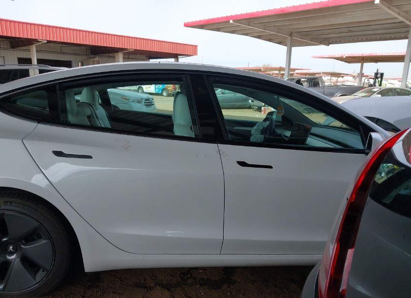 Photo 12 of 2021 Tesla Model 3 STANDARD RANGE PLUS REAR-WHEEL DRIVE (VIN 5YJ3E1EA1MF019041)