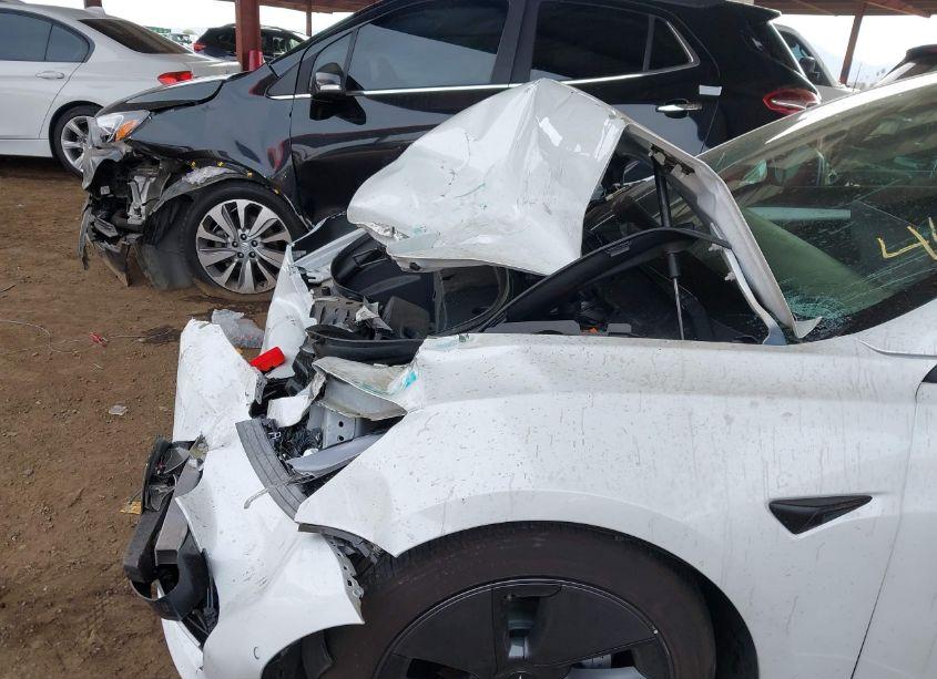 Photo 6 of 2021 Tesla Model 3 STANDARD RANGE PLUS REAR-WHEEL DRIVE (VIN 5YJ3E1EA1MF019041)