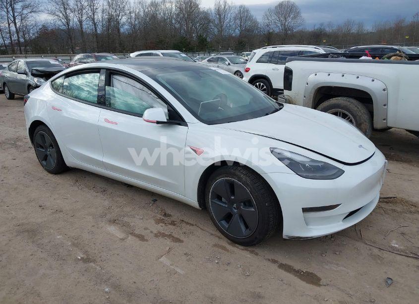 2023 Tesla Model 3 REAR-WHEEL DRIVE (VIN 5YJ3E1EA1PF564564) main photo