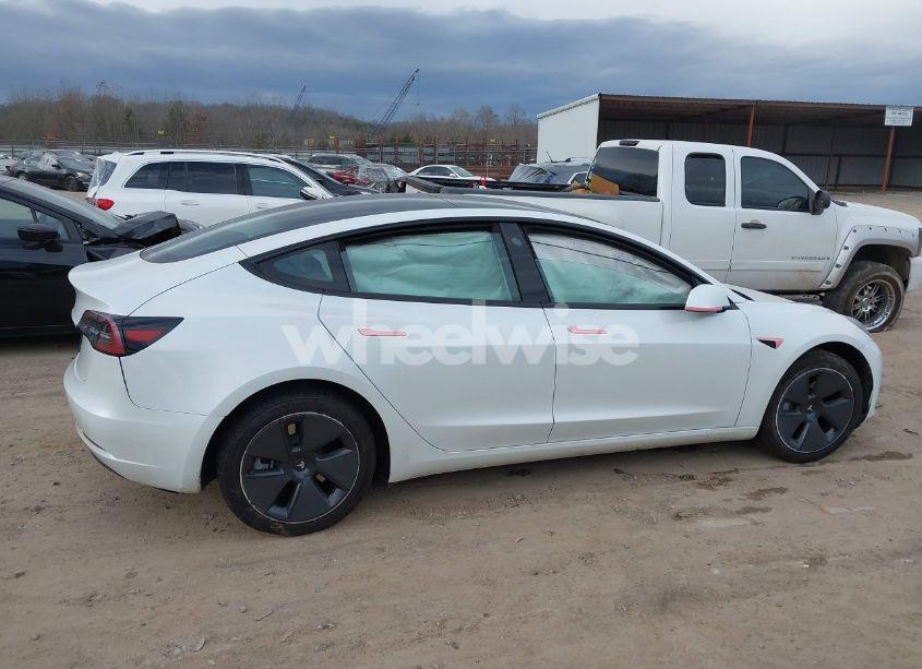 Photo 13 of 2023 Tesla Model 3 REAR-WHEEL DRIVE (VIN 5YJ3E1EA1PF564564)