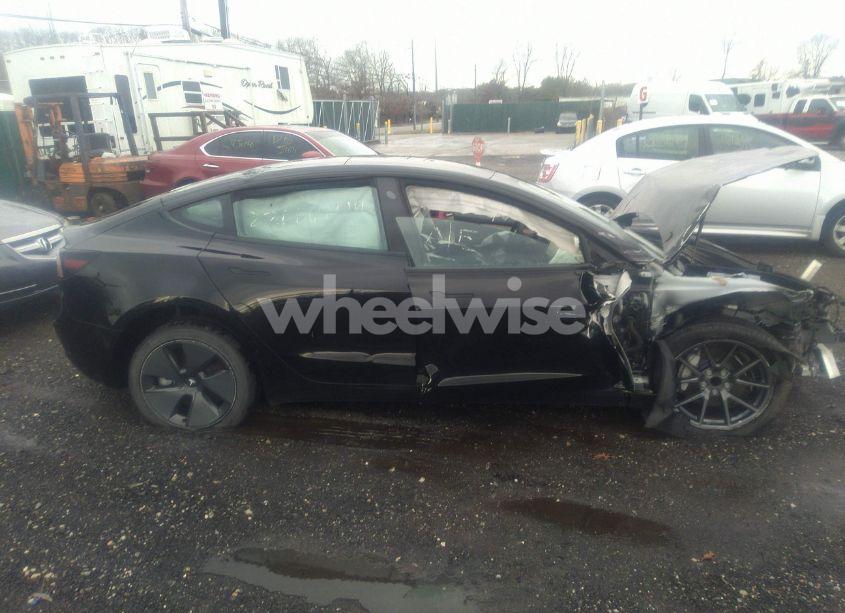 Photo 12 of 2021 Tesla Model 3 STANDARD RANGE PLUS REAR-WHEEL DRIVE (VIN 5YJ3E1EA2MF031151)