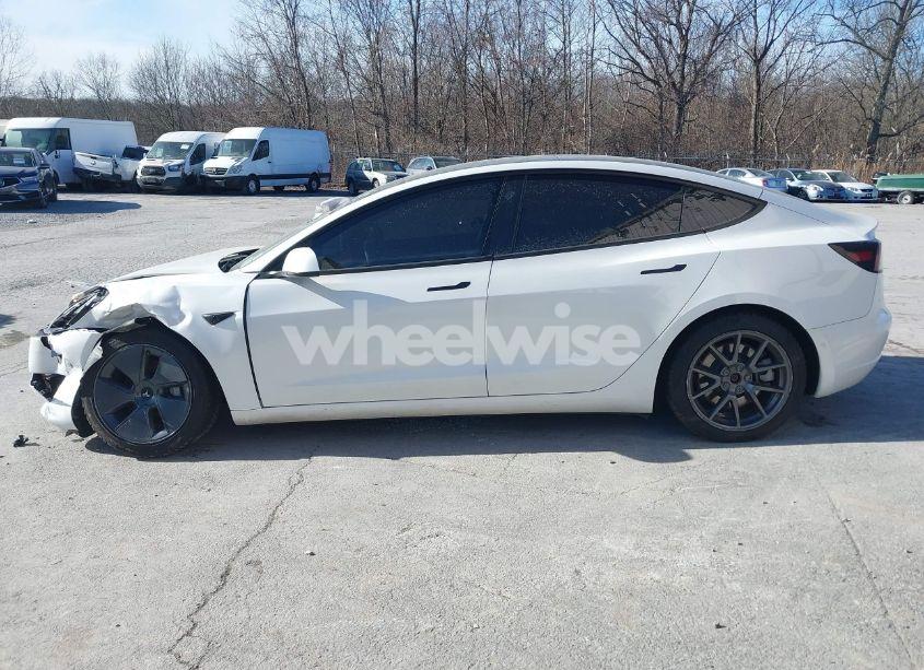 Photo 14 of 2022 Tesla Model 3 REAR-WHEEL DRIVE (VIN 5YJ3E1EA2NF154885)