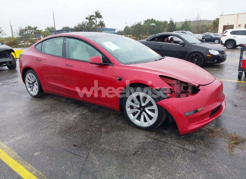 2023 Tesla Model 3 REAR-WHEEL DRIVE (VIN 5YJ3E1EA2PF384204) main photo