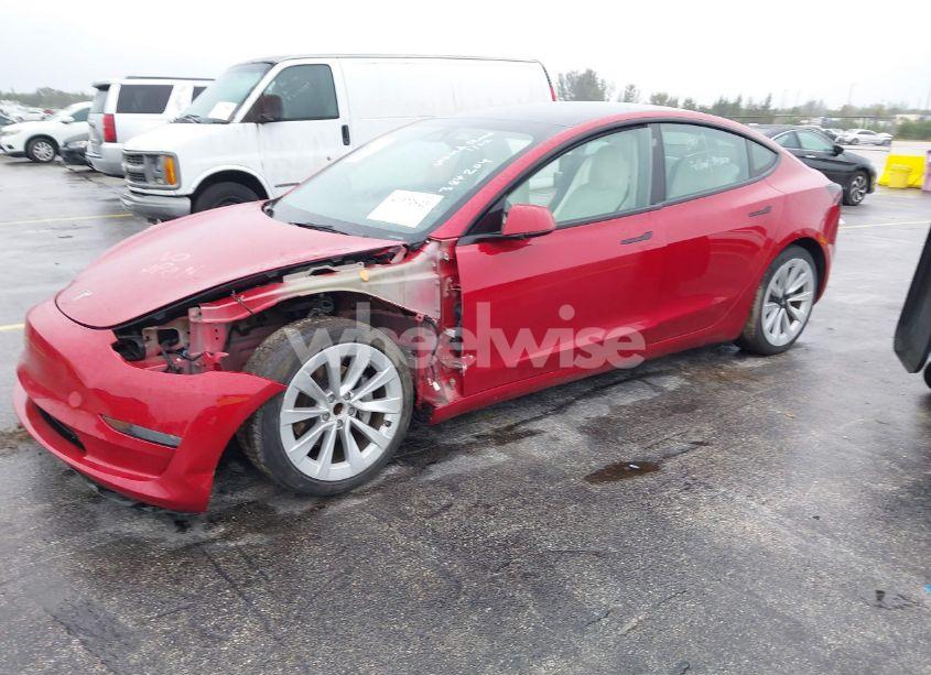 Photo 2 of 2023 Tesla Model 3 REAR-WHEEL DRIVE (VIN 5YJ3E1EA2PF384204)