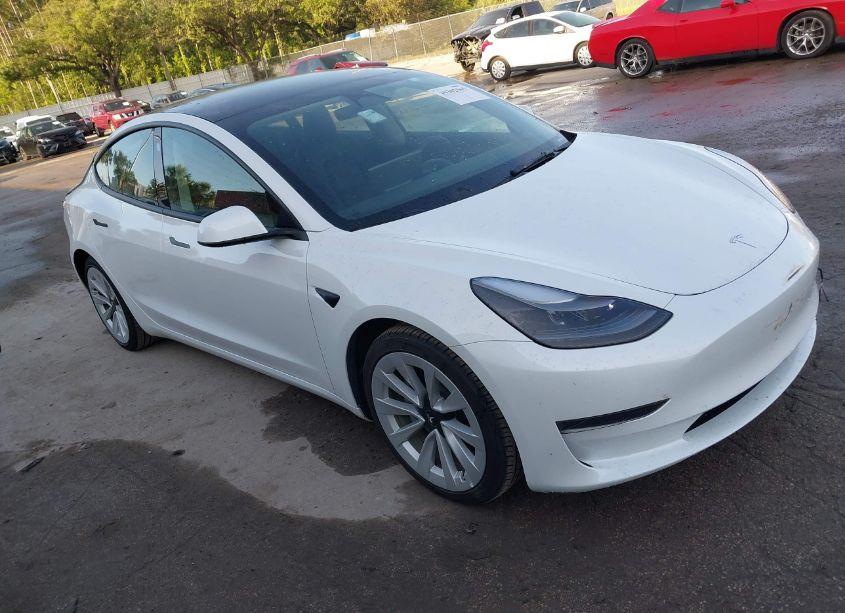 2023 Tesla Model 3 REAR-WHEEL DRIVE (VIN 5YJ3E1EA2PF428184) main photo