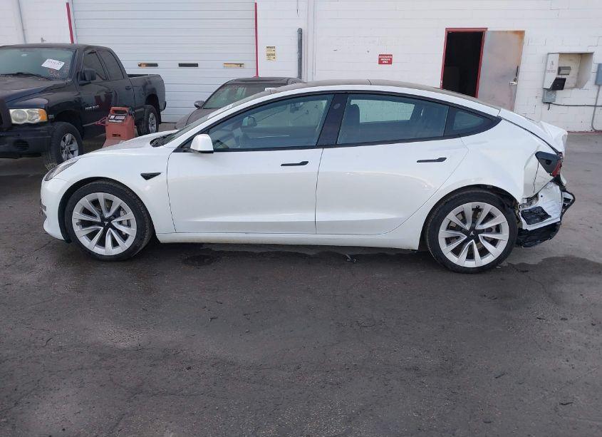 Photo 14 of 2023 Tesla Model 3 REAR-WHEEL DRIVE (VIN 5YJ3E1EA2PF428184)