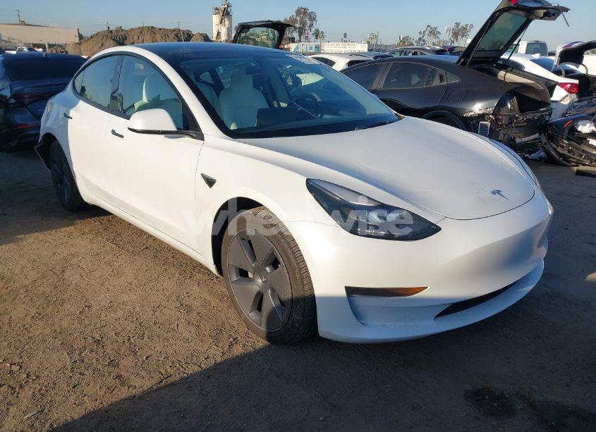 2023 Tesla Model 3 REAR-WHEEL DRIVE (VIN 5YJ3E1EA2PF551631) main photo