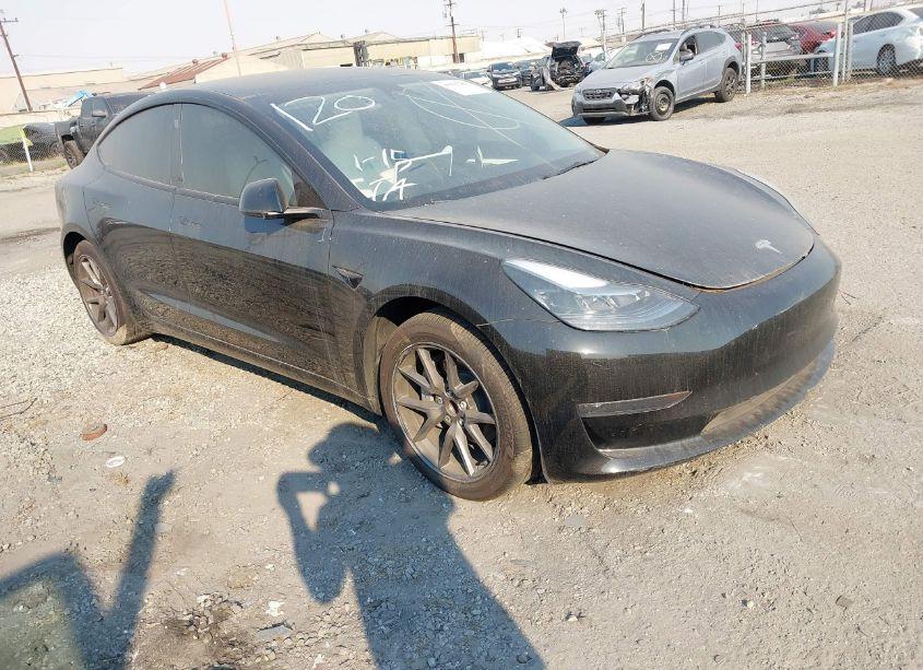 2023 Tesla Model 3 REAR-WHEEL DRIVE (VIN 5YJ3E1EA2PF584631) main photo