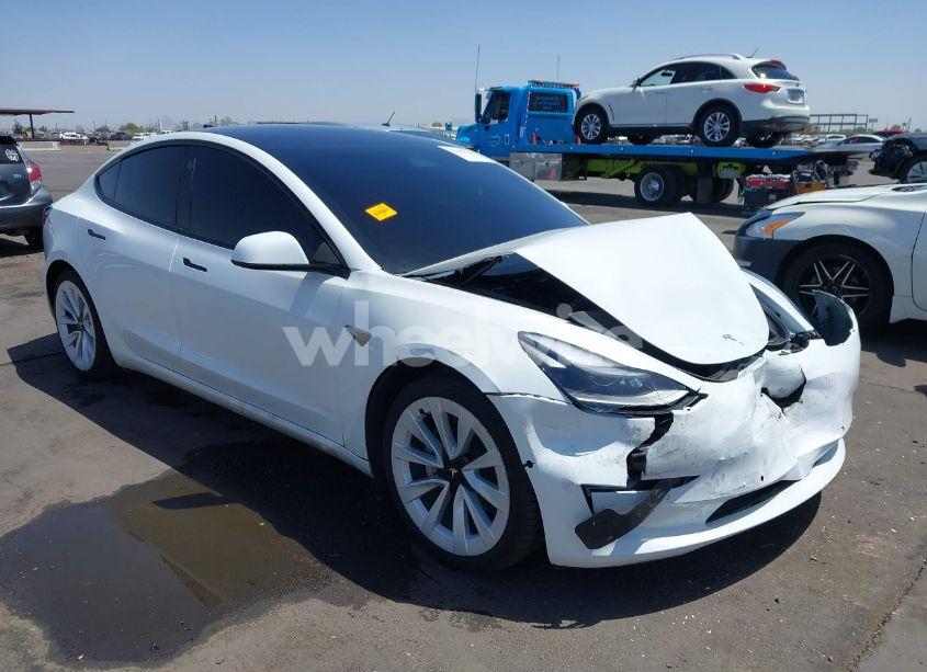 2021 Tesla Model 3 STANDARD RANGE PLUS REAR-WHEEL DRIVE (VIN 5YJ3E1EA3MF075594) main photo