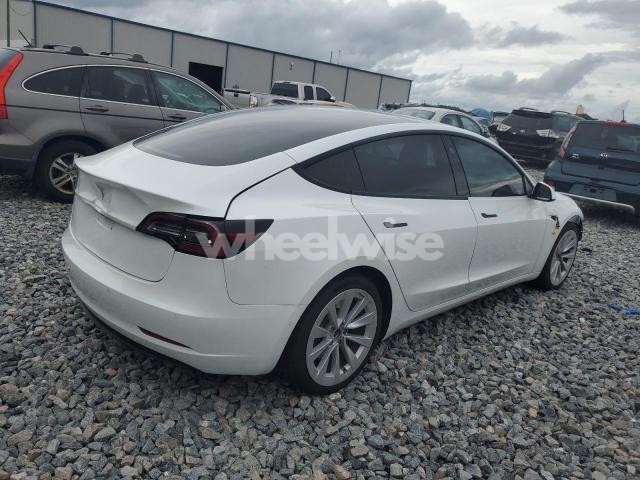 2021 TESLA MODEL 3 N/A (VIN 5YJ3E1EA3MF856731) main photo