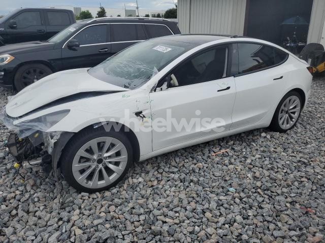 Photo 4 of 2021 TESLA MODEL 3 N/A (VIN 5YJ3E1EA3MF856731)