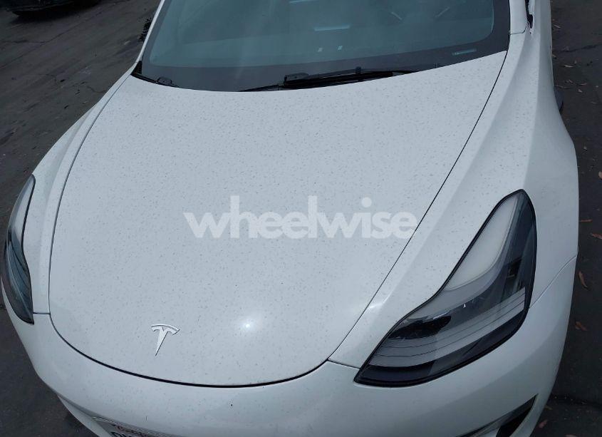 Photo 10 of 2022 Tesla Model 3 REAR-WHEEL DRIVE (VIN 5YJ3E1EA3NF142759)