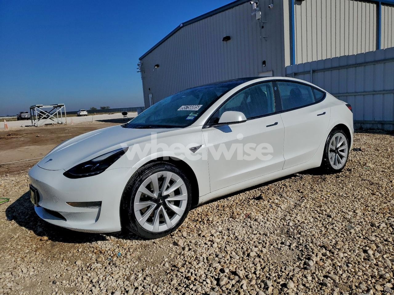 2023 TESLA MODEL 3 (VIN 5YJ3E1EA3PF429876) main photo
