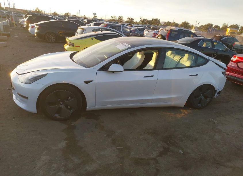 Photo 15 of 2023 Tesla Model 3 REAR-WHEEL DRIVE (VIN 5YJ3E1EA3PF573136)