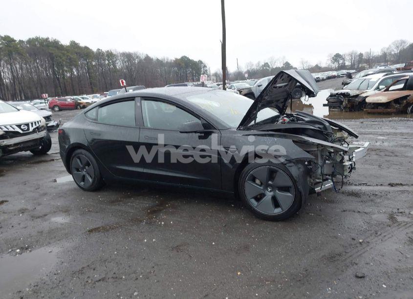 2023 Tesla Model 3 REAR-WHEEL DRIVE (VIN 5YJ3E1EA3PF668831) main photo