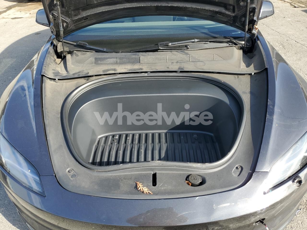 Photo 11 of 2025 TESLA MODEL 3 (VIN 5YJ3E1EA3SF023962)