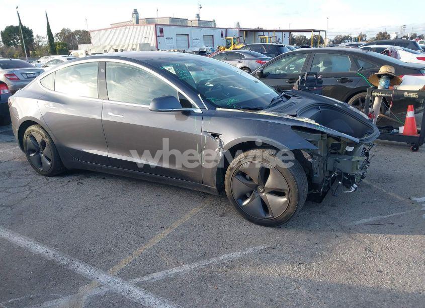2019 Tesla Model 3 LONG RANGE/MID RANGE/STANDARD RANGE/STANDARD RANGE PLUS (VIN 5YJ3E1EA4KF307231) main photo