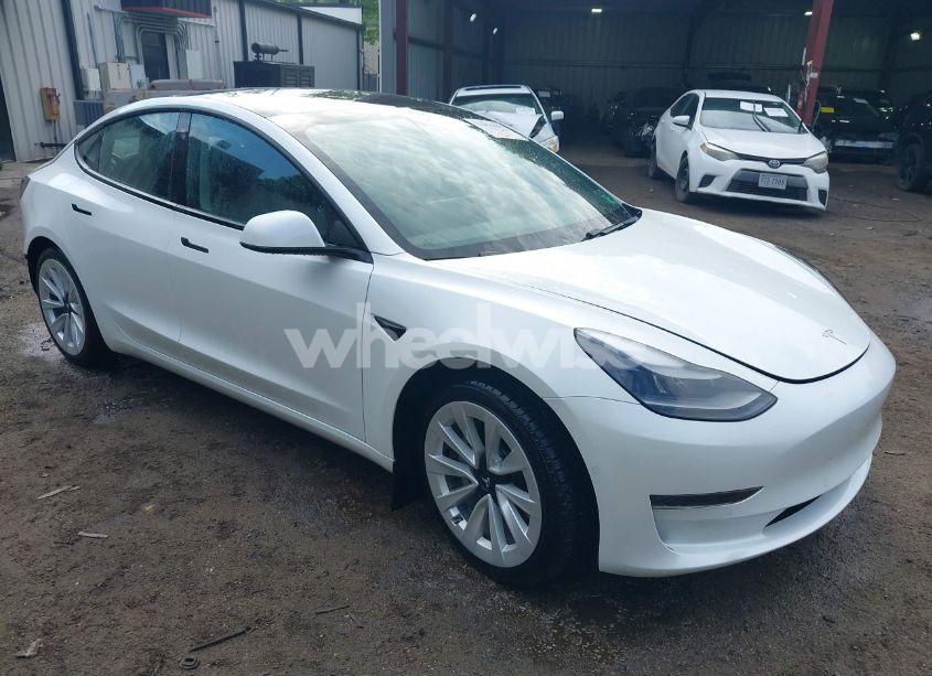 2021 Tesla Model 3 STANDARD RANGE PLUS REAR-WHEEL DRIVE (VIN 5YJ3E1EA4MF043432) main photo