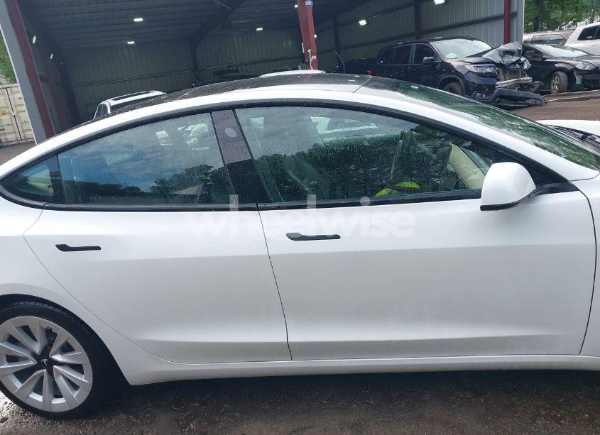 Photo 13 of 2021 Tesla Model 3 STANDARD RANGE PLUS REAR-WHEEL DRIVE (VIN 5YJ3E1EA4MF043432)