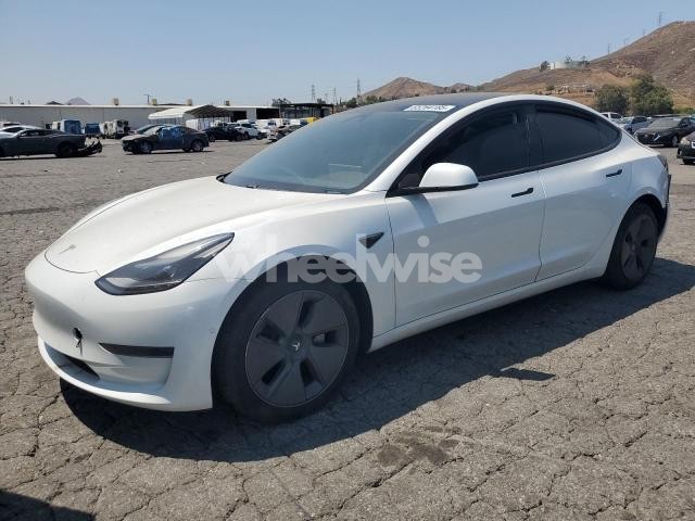 Photo 4 of 2021 TESLA MODEL 3 N/A (VIN 5YJ3E1EA4MF871707)