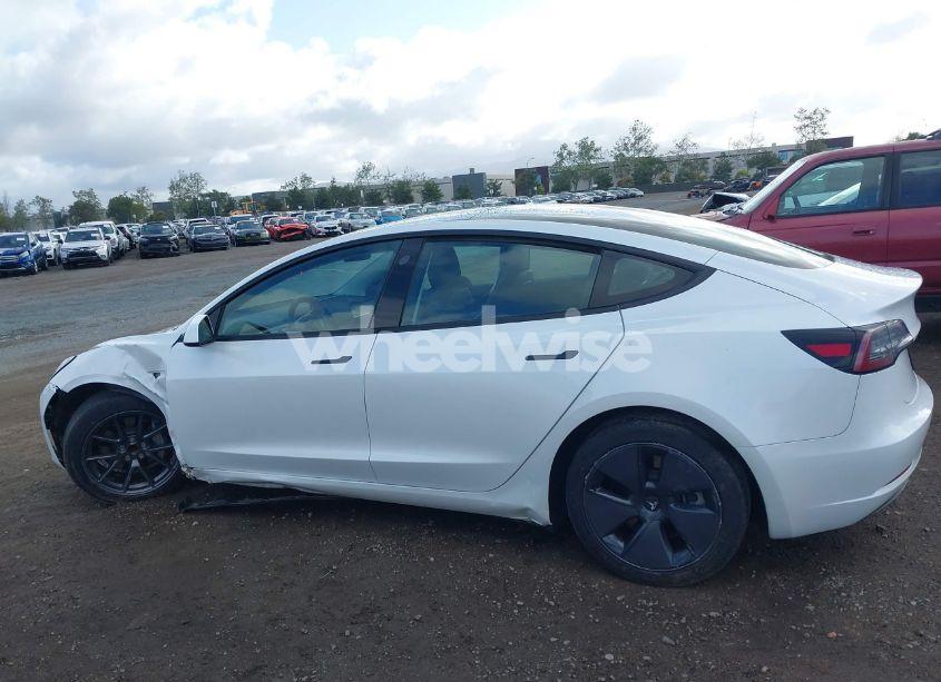 Photo 15 of 2023 Tesla Model 3 REAR-WHEEL DRIVE (VIN 5YJ3E1EA4PF405361)