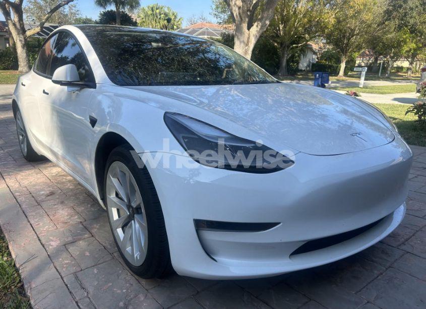 2023 Tesla Model 3 REAR-WHEEL DRIVE (VIN 5YJ3E1EA4PF555051) main photo
