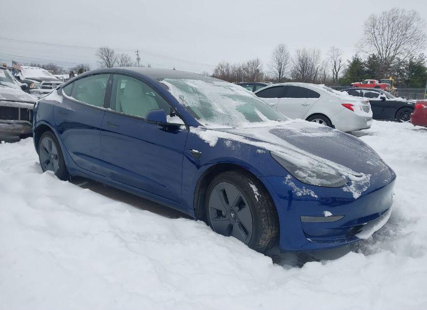 2023 Tesla Model 3 REAR-WHEEL DRIVE (VIN 5YJ3E1EA4PF565904) main photo