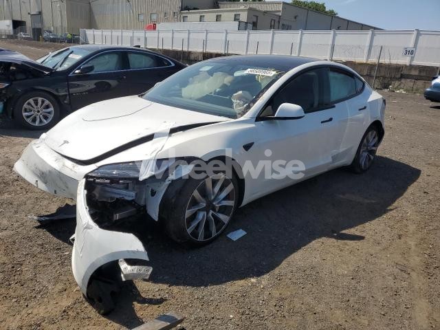 2025 TESLA MODEL 3 (VIN 5YJ3E1EA4SF887094) main photo