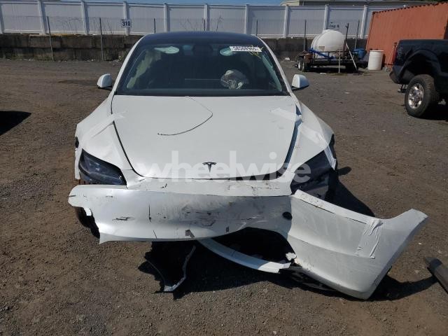 Photo 5 of 2025 TESLA MODEL 3 (VIN 5YJ3E1EA4SF887094)