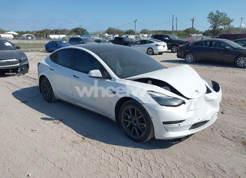 2021 Tesla Model 3 STANDARD RANGE PLUS REAR-WHEEL DRIVE (VIN 5YJ3E1EA5MF082417) main photo