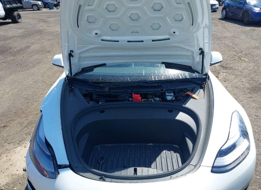 Photo 10 of 2021 Tesla Model 3 STANDARD RANGE PLUS REAR-WHEEL DRIVE (VIN 5YJ3E1EA5MF085107)